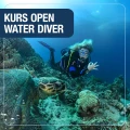 Kurs Open Water Diver