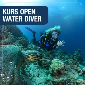 Kurs Open Water Diver