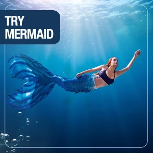 Try Mermaid