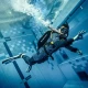 Kurs Dry Suit