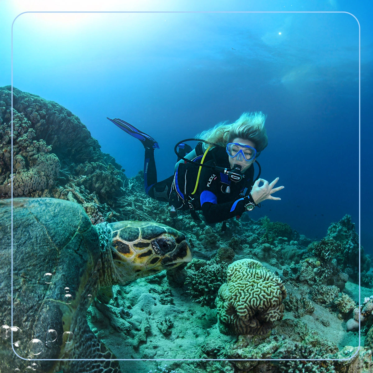 Kurs Open Water Diver