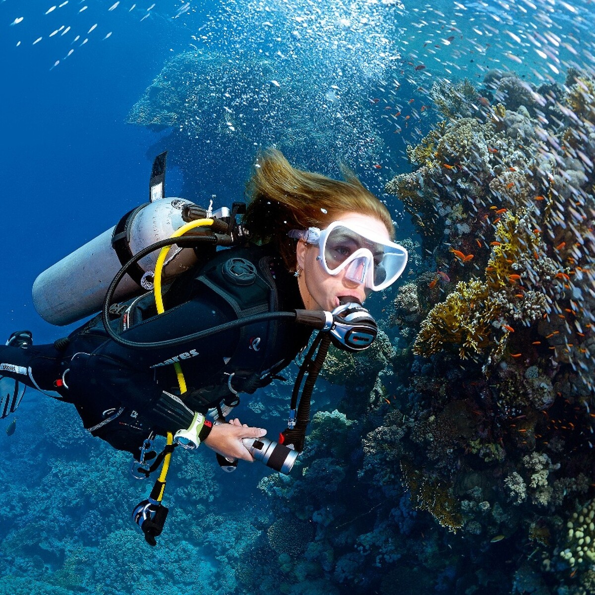 Kurs Open Water Diver